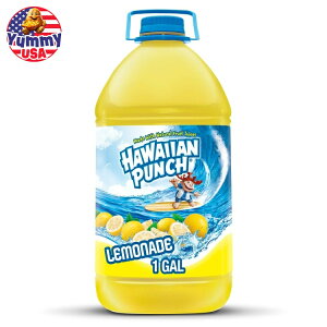 yő500~OFFN[|LznCAp` l[hW[X 1K {g Hawaiian Punch Lemonade Juice, 1 Gal, Bottle y񂹏iz