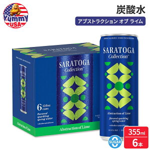 yő500~OFFN[|LzTgKRNV Xp[NOEH[^[ AuXgNVEIuEC 355mli12 flozj 6ʃpbN Saratoga Collection, Abstraction of Lime Sparkling Water 12 fl oz, 6 P