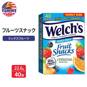yő500~OFFN[|LzEF` t[cXibN ~bNXt[c oNpbN 22.6g 40pbNWelch's Fruit Snacks, Mixed Fruit Bulk Pack 0.8 oz (Pack of 40) {y񂹏iz