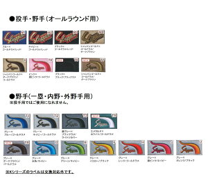 xւ@vۓcXbK[@@ix݂̂w͏o܂Bj