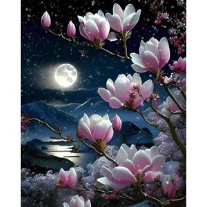 viervido _ChA[g yCeBOLbg _Chh r[YA[g 5D UCNA[g hJLbg nhCh Sʓ\t^Cv r[YA[gGLbg DIY