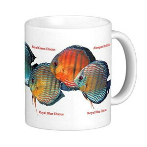 ChEfBXJX̃}OJbvFtHg}OiE̔MыV[Yj