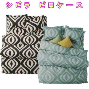 Jo[ Vr EAE Vr sP[X 43×63cm