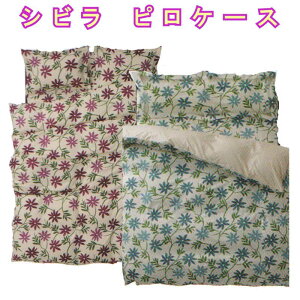 Jo[Vr J| Vr sP[X 50×70cm