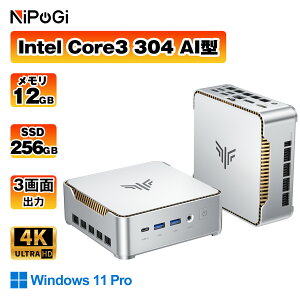 �yAI �~�jPC�o��z �yIntel Core3 304 12GB 256GB SSD�zmini pc Windows11 Pro ���y�� 4�R�A/4�X���b�h 2.9GHz �~�j�p�\�R�� �É� M.2 2242 SATA 4K HDMI 3��ʏo�� �f�X�N�g�b�vPC �݂�pc �ȃG�l �I�t�B�X�����N�� �ȓd