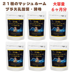 eʁ@6@180@21LmRz}bV[TvbŁE}uVEV}RuEOJE_ہEJutRC_zb̌NT|[g鍑YTv