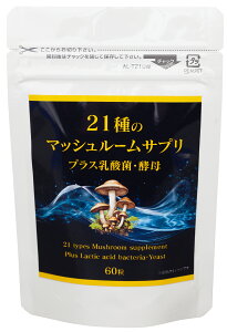 Ŷ21×OJ×VC^Pێ́@^M_P ̂K(1)| 21̂̂ ܂ }C^P }uV^P ^M_P mxtNV MDtNV x[^OJ 