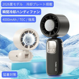 クーポンにP5倍　ハンディファン 首かけ扇風機　冷却プレート付き 2026　最新モデル TEC瞬間冷却 携帯扇風機 4000mAh大容量 強風 静音 Type-C充電 手持ち 卓上 首掛け USB充電 小型扇風機 ミニファン 熱中症対策 暑さ対策 通勤 通学 アウトドア 夏用 冷却ファン プレゼント