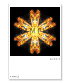 ライトクイーン　ポストカード