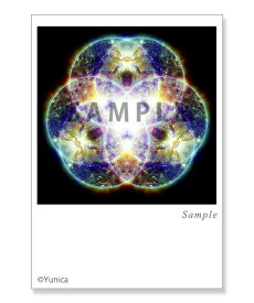 ニューパラダイム　ポストカード