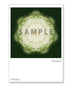 美神（ヴィーナス　オブ　ヴィーナス）　ポストカード