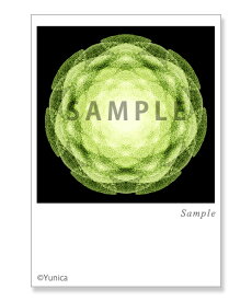 スキャター　ポストカード