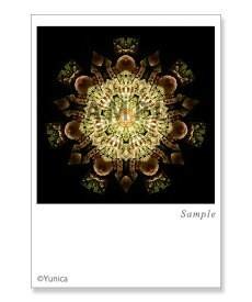 ナイト　ポストカード