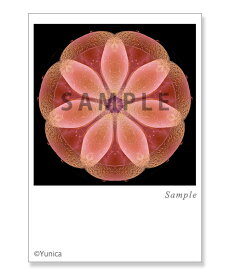 God　love　you　ポストカード