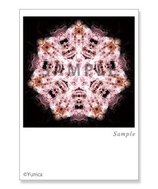 パープルライティング　ポストカード