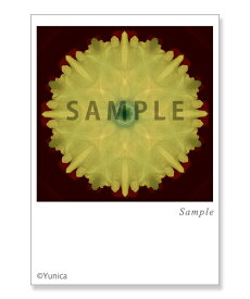 トグルク　ポストカード