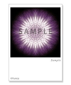 シーキング　ポストカード