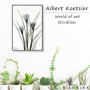 壁掛け 観葉植物 絵画の人気商品 通販 価格比較 価格 Com 壁掛け 観葉植物 絵画の人気商品 通販 価格比較 価格 Com