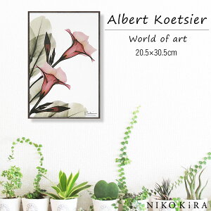 壁掛け 観葉植物 絵画の人気商品 通販 価格比較 価格 Com