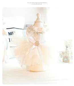 hbOEFA  s[X ybg Lm [X {t Ȃ tďH ̕ Pl [X hX XJ[g s[X lC t@bV ^ ^ L