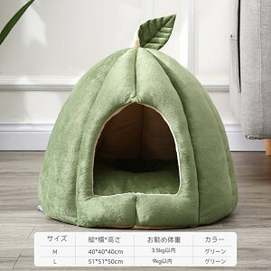 ybgnEX  h[^ ybg nEX ybgxbh  L h[^ 킢 ې􂢉\  p ~ ~ H  Ck lR h ybgnEX ΍ g