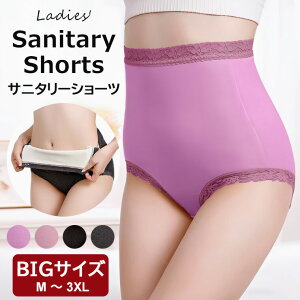 Kۂŗ₦΍ 4FWJ N  Tj^[V[c nCEGXg [X؂ւ V[c X^_[h [΂ pc  ObY 