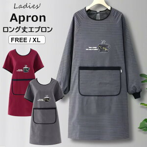 s[XIIׂ3   O [NGv Ɩp XbN ۈm fB[X HX 킢Gv B ۂ JtFGv