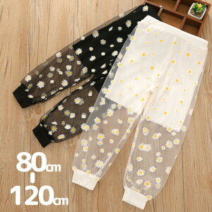 uX[p[SALEzv킢 琶K[h qp V[X[ Opc upc ut EGXgS }[Kbg ԕ t[