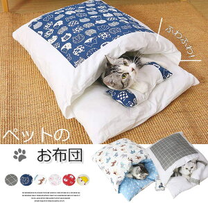 uX[p[SALEzvӂӂ̂zcŋC悭QI ybgxbh zc Q  L hbOxbg a    킢