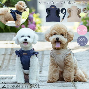  n[lX 킢  V_[tn[lX{[h2_Zbg gCv[h ` ^ ^ p  AE^[ R[g o t H S M L XLTCY U ȒP AE