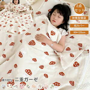 Q Jo[t zc dK[[ |zc ĕzc zc J[[Pbg 100 ėp ^ ˂Ԃ K _炩 ʋC 􂦂 [ܕt j̎q ̎q ۈ牀 ct Q 