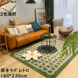 uX[p[SALEzv胉O J[ybg 􂦂 ԕ 160cm*230cm   g ~ Be[W ` O O}bg Q rO  イ O~ jv[