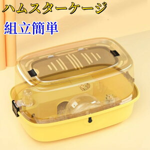 yznX^[P[W nX^[nEX P[W 炩 ʋCQ gȒP  񂵎 GTM {E  ߋV[\ ^  nlY~ 傫 ^ 