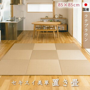 u@ڐρ@Ȃ@ZLXC@@euE@t[Oɒu@{@u@u@u@@jbg@@@炩NbVt@85cm×85cm@