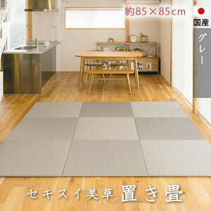 u@ڐρ@Ȃ@ZLXC@@O[@t[Oɒu@q@{@u@u@u@@jbg@@@炩NbVt@85cm×8