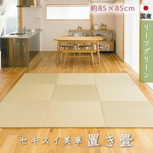 u@ڐρ@Ȃ@ZLXC@@[tO[@t[O@q@{@u@u@u@@jbg@@@炩NbVt@85cm×85cm