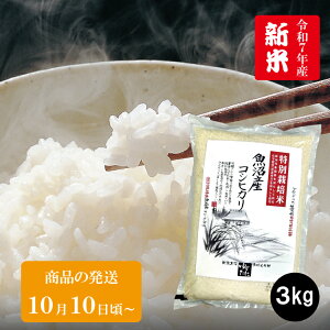 ߘa7NYV YRVqJ ʍ͔| 3kg V   Ђ