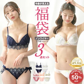 ＼最大50％OFFクーポン&P5倍／ ブラジャー ショーツ 3点セット 福袋 選べる3タイプ 刺繍 レース おしゃれ シンプル ABCDE 大きいサイズ下着 レディース 安い かわいい A65M〜E75L ブラセット ブラショーツ 上下セット おしゃれ プチプラ まとめ買い A65M〜E75L