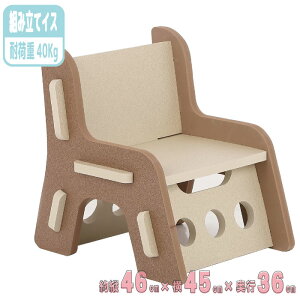 CX gݗ ql w _炩f  ߋ [ 46×45×36cm 킢 mbNX