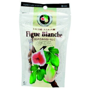 y39VbvΏۏiz܂ hCt[c tBOuV (5) 100g (N289)(66-1)