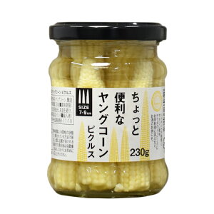 y39VbvΏۏiz܂ Rg ƕ֗ȃOR[ sNX r 230g (P121)(79-0)