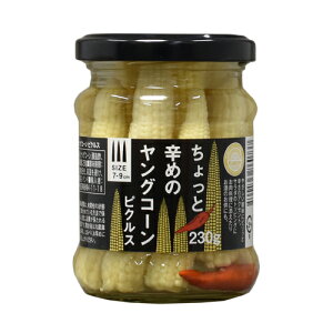 y39VbvΏۏiz܂ Rg Ɛh߂̃OR[ sNX r 230g (P1211)(79-0)