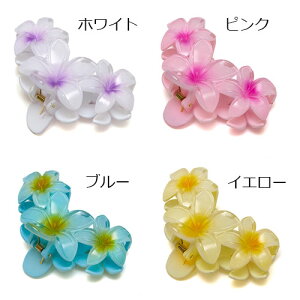 vANbv@sN zCg u[ CG[ 1 ԃNbv