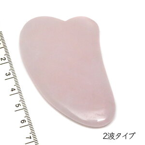 [YNH[cv[g@Vg̉H@sNВt