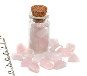 yVR΂Ώrz [YNH[c STCY~bNX  p[Xg[ 10g VR΃r[Yp[c  g  א