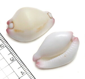 yLkp[czRETMKC@{^E~ETM ZVE~ETMKC @1@i䂤pPbgz\ij