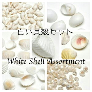 LkZbg zCgVF -EFfBOɂ-@ 7ތ