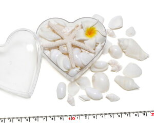 zCgVF n[g^P[XLkZbg LkƃqgfƃvA VF~bNX EFfBO tHgt[