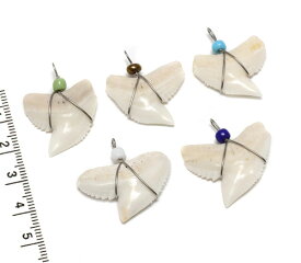【小さな貝殻パーツ】イタチザメの歯　ワイヤーカン付き　1個 Mサイズ　約2-2.5cm《サメの歯》