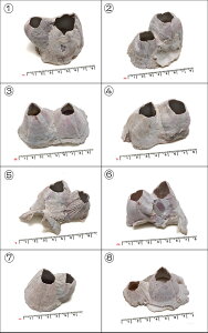 yCeApLkp[czVRtWc{ ^Cv 2 AeB[N ANAE